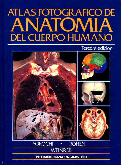 No hay una imagen disponible