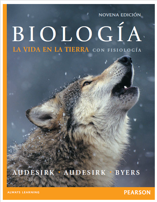 No hay una imagen disponible
