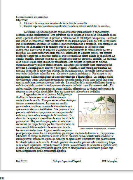 No hay una imagen disponible