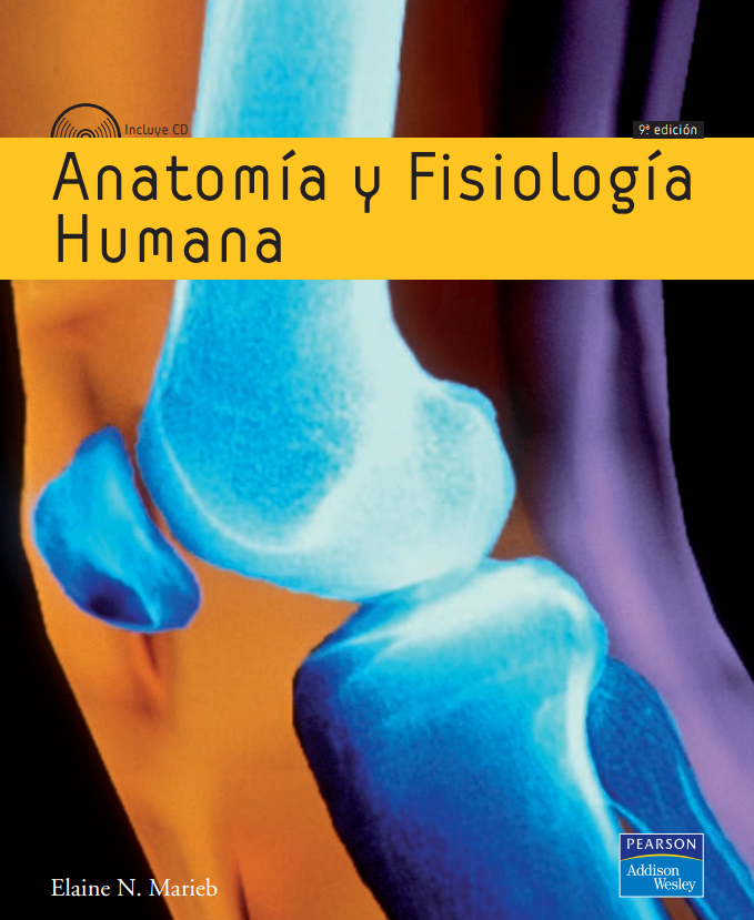 No hay una imagen disponible
